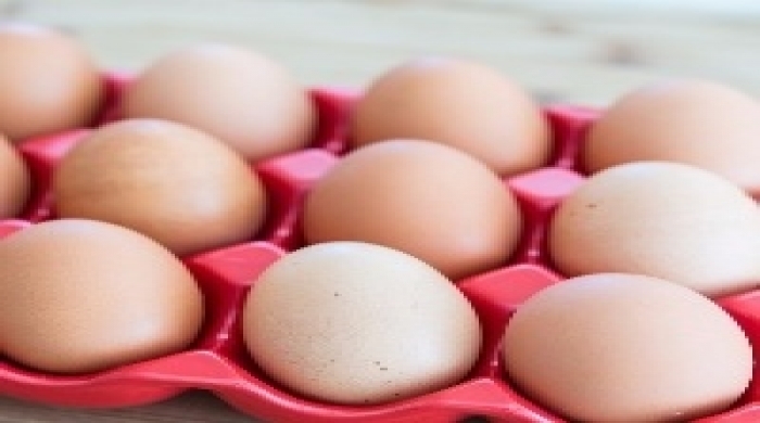 magem créditos: Divulgação