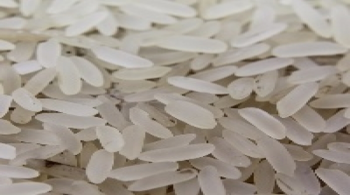 Imagem créditos: Divulgação