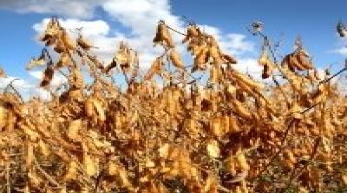 Imagem créditos: Paulo Lanzetta