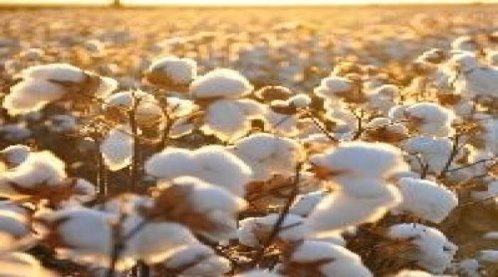 creditos: Governo Goiás