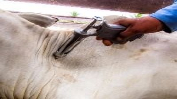 credito: Agencia Brasil