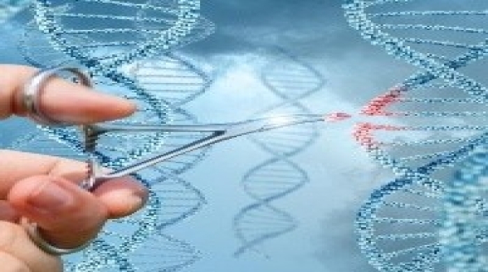 Imagem créditos: Bigstock 