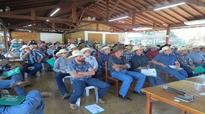 (Fotos: Francisco Santos)