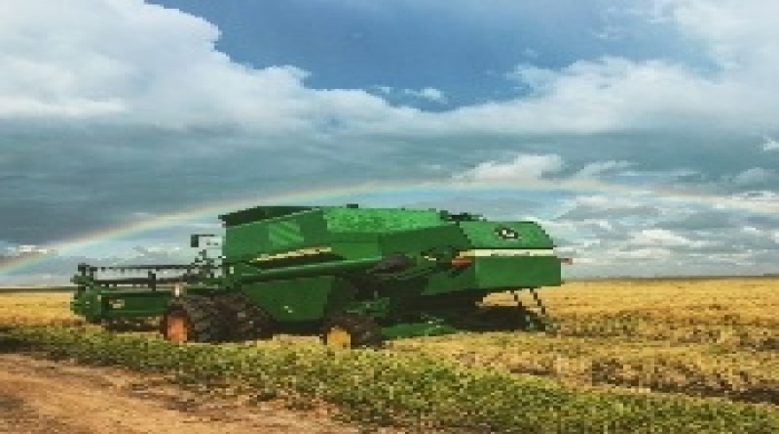 Imagem: Nadia Borges