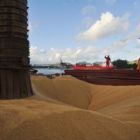 Preço da soja recua em Goiás após decreto que restringe exportações