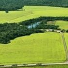 Registro no CAR termina em 6 de maio. Em SP 61% de áreas já estão regulares