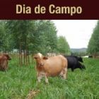 Dia de Campo trata de tecnologias voltadas à pequena propriedade produtiva e sustentável
