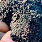 Adubar sim, mas com inteligência e estratégia