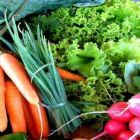 O que é Agricultura???