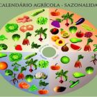 CALENDÁRIO AGRÍCOLA