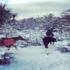 Cavaleiro das Américas está perto de cumprir jornada até o “Fim do Mundo”