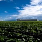 Alunos da FEI desenvolvem projetos voltados para o Agronegócio