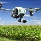 Integração entre tecnologia e práticas conservacionistas fortalece agricultura do Oeste baiano