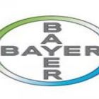 Fungicida FOX Xpro já está em pré-marketing no Brasil