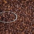 Infocafé de 16/07/18 Dólar comercial fechou em alta de 0,37%, cotado a R$ 3,8650