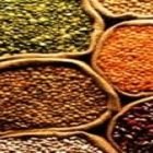 Safra de grãos mantém aumento de área e produção está em 234 milhões de t