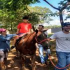 Projeto de Equoterapia volta a atender no Rancho do Peãozinho