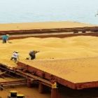 Porto de Paranaguá terá nova área para operação de celulose