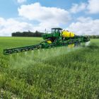 Silicone ajuda plantas a absorverem melhor os nutrientes aplicados por agricultores