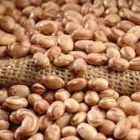 Safra de feijão está na reta final de colheita em Ijuí