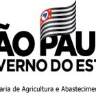 Levantamento inicial mostra sinais positivos para as safras agrícolas referente à produção de 2021/22