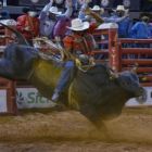 65ª Festa do Peão de Barretos 