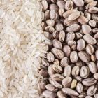 Fretebras  demonstra que a digitalização dos fretes tem ajudado as transportadoras a reduzirem os custos com transportes em até 30%.  