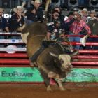 Cássio Dias conquista título de campeão brasileiro da PBR Brazil em Barretos
