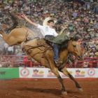 Pio é pentacampeão do Cutiano no Rodeio Internacional