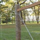 A importância da seleção e utilização correta das cercas para fazendas