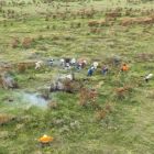  Pantanal vivenciou mais um episódio de incêndios devastadores.