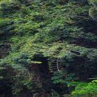 BRASIL PRECISA RECUPERAR 1 MI HA NOS ASSENTAMENTOS RURAIS