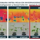 Estresse térmico na agricultura. 