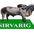 Defesa Agropecuária agenda palestra para orientar contabilistas