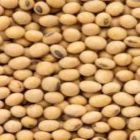 Commodities agrícolas