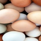 Ovos/Cepea: Poder de compra atinge novo recorde frente ao farelo