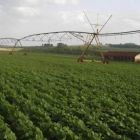 Governo de SP oferece crédito rural para máquinas e irrigação 