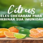 IFPA promove campanha de sazonalidade de citrus