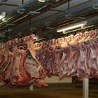 Carne suína ganha competitividade frente ao frango