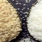 AÇÚCAR/CEPEA: Média de setembro cai quase 20% em relação à de um ano atrás