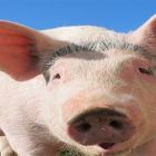 Exportações batem recorde em setembro