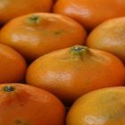 Citricultores aguardam chuvas e preços sobem