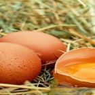 OVOS: Exportações caem, mas são recordes para o 3º tri