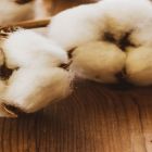 Algodão opera abaixo da paridade de exportação em 2025