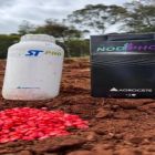 Dependência de fertilizantes importados